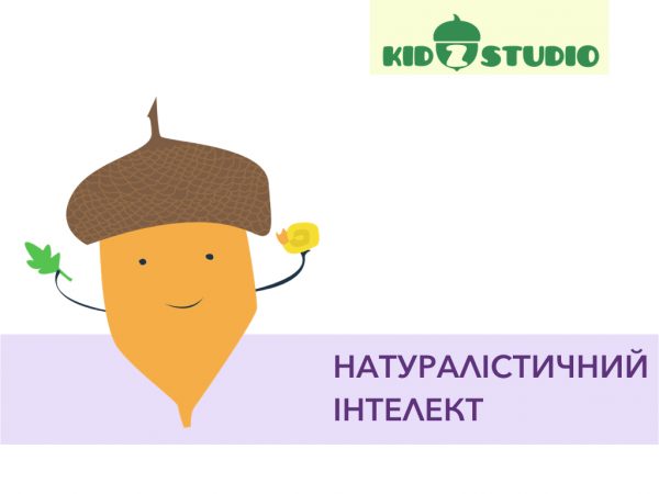 naturalistic-intellect